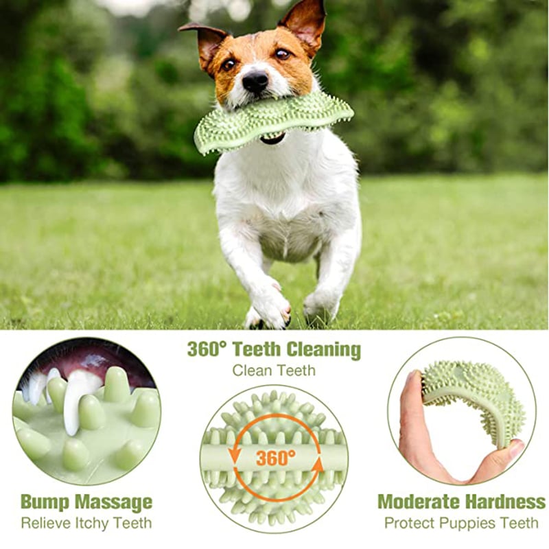 Bite-Resistant Chewing Toy
