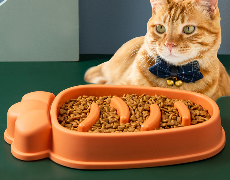 Anti-Choke Slow Feeder Bowl