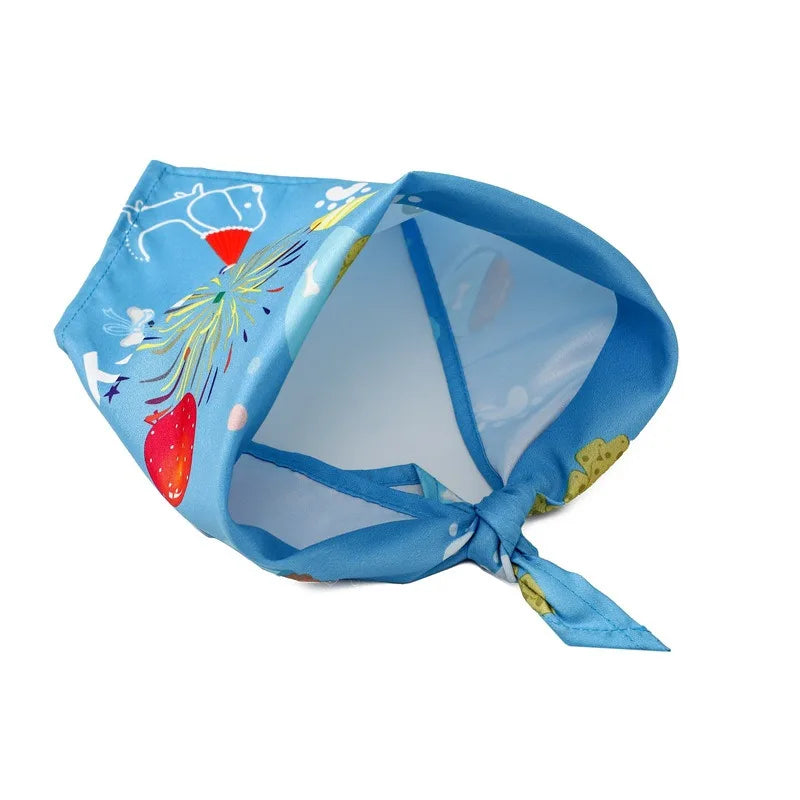 Pet Dog/ Cat Birthday Party Hat AND Triangle Scarf