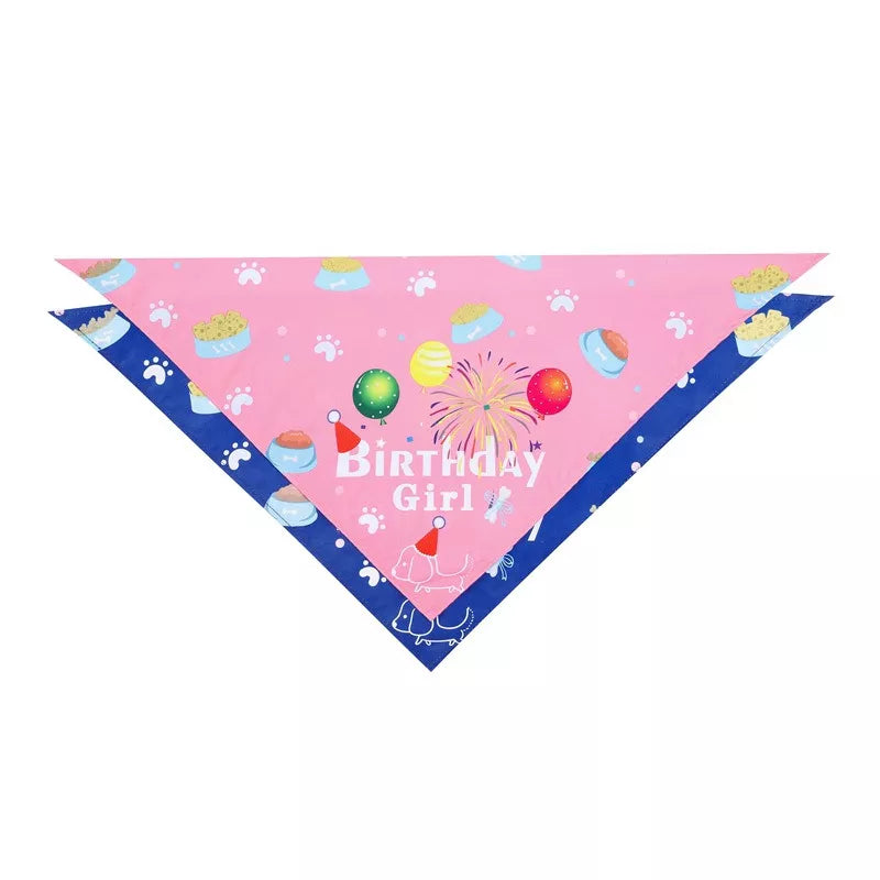 Pet Dog/ Cat Birthday Party Hat AND Triangle Scarf