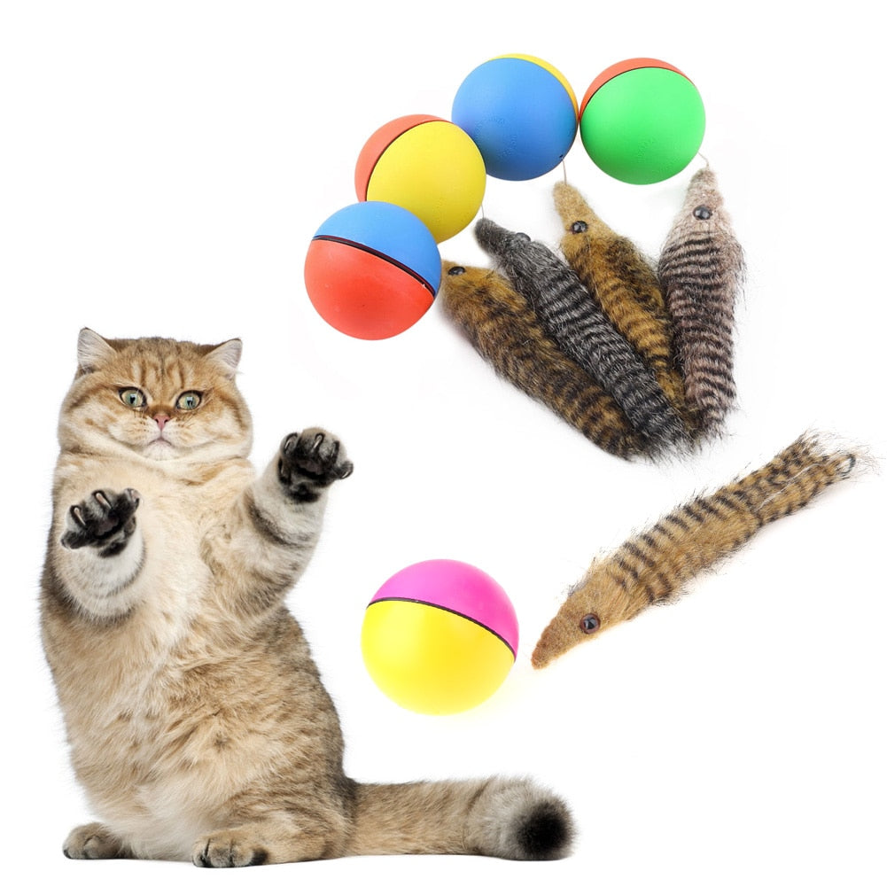 Beaver Weasel Rolling Motor Ball Toy for Pet Cat | Dog