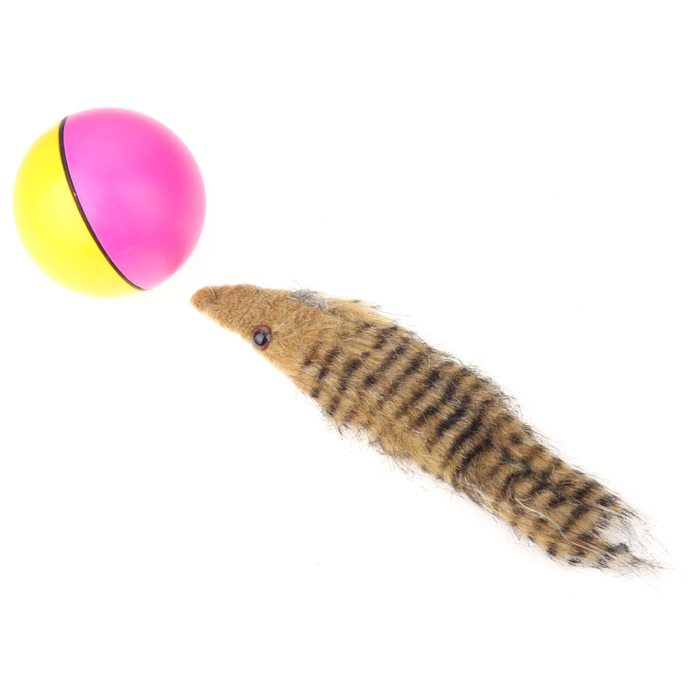 Beaver Weasel Rolling Motor Ball Toy for Pet Cat | Dog