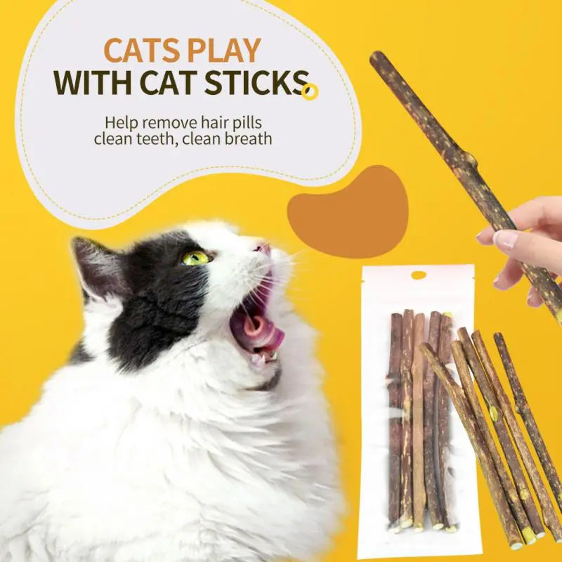 6 Sticks Natural Cat Mint Sticks leaning Teeth Bite-resistant