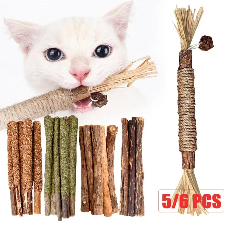 6 Sticks Natural Cat Mint Sticks leaning Teeth Bite-resistant
