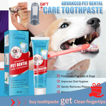 60g Cat Dog Fresh Breath Toothpaste