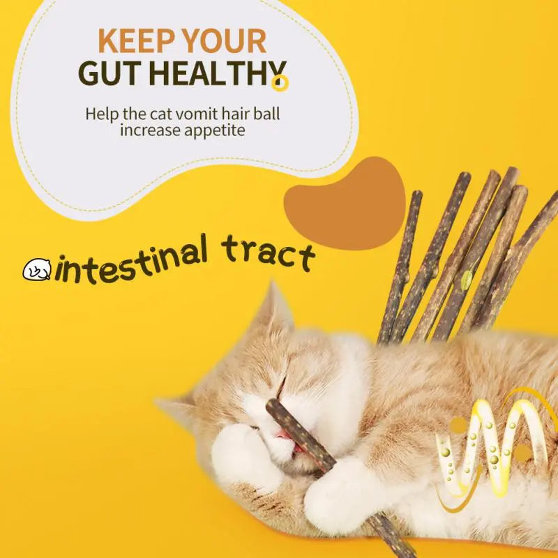6 Sticks Natural Cat Mint Sticks leaning Teeth Bite-resistant