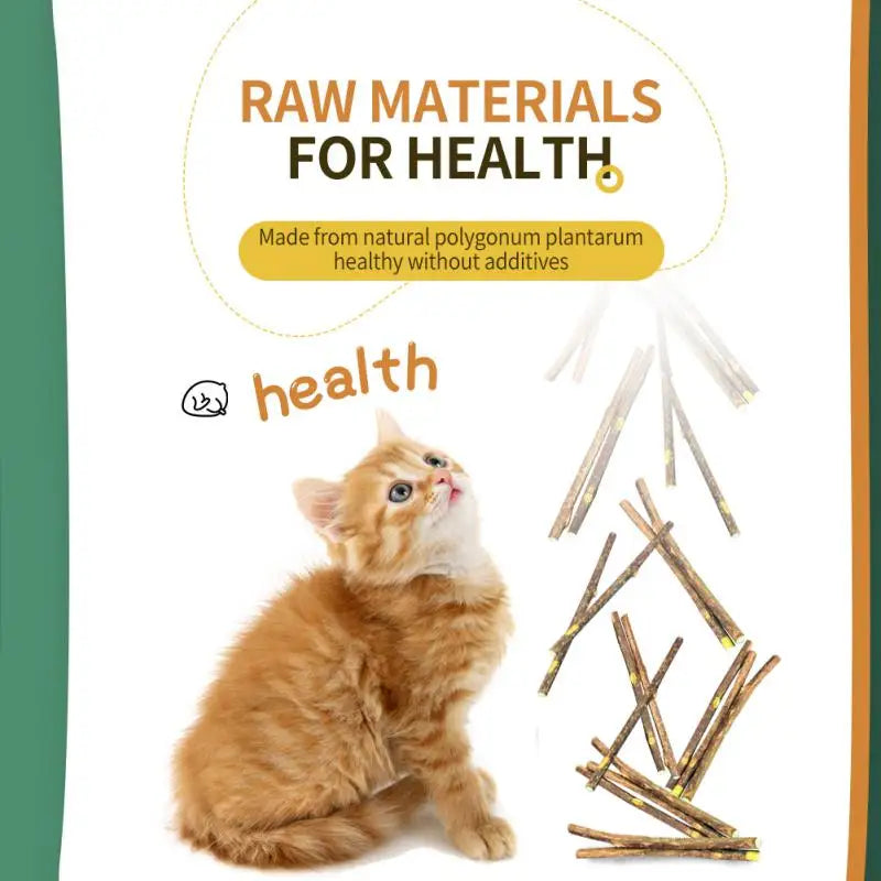 6 Sticks Natural Cat Mint Sticks leaning Teeth Bite-resistant