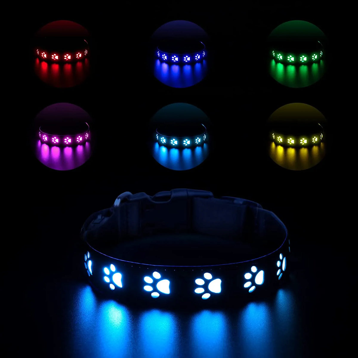 Dog pet LED collar