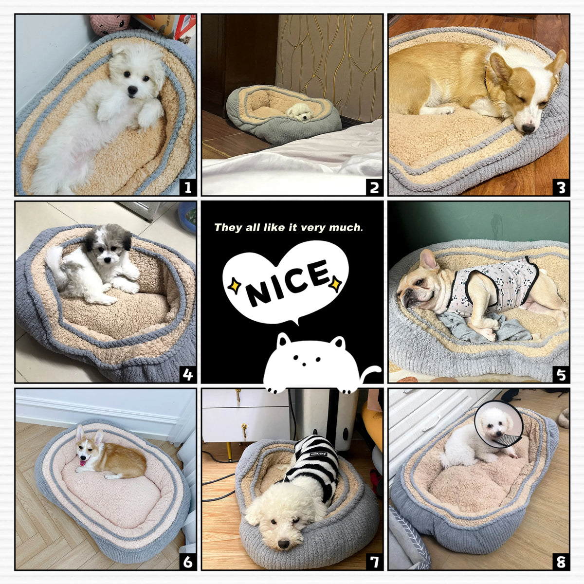 Pet Dog Sofa / Sleeping Beds