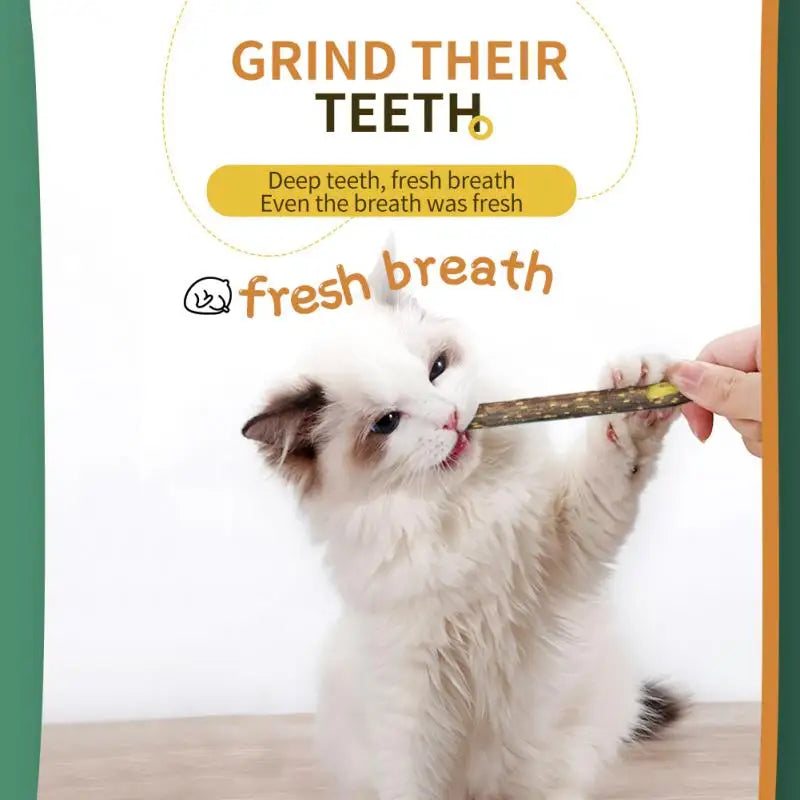 6 Sticks Natural Cat Mint Sticks leaning Teeth Bite-resistant